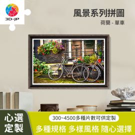 H1572D 荷蘭 - 單車