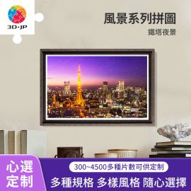 H1769D 鐵塔夜景
