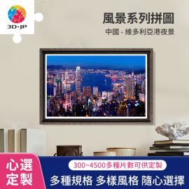 H2089D 維多利亞港夜景