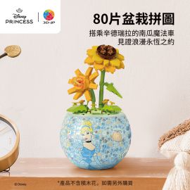 K1097 公主系列 - 落英輕舞 - Cinderella